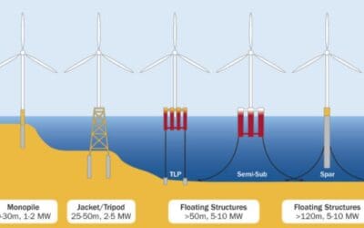 What Is The Ecological Impact of Offshore Windfarms on Marine Life?